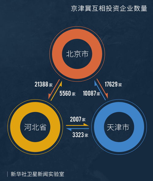 十年增長17倍 河北承接北京產業轉移的“網絡技術服務”新篇章